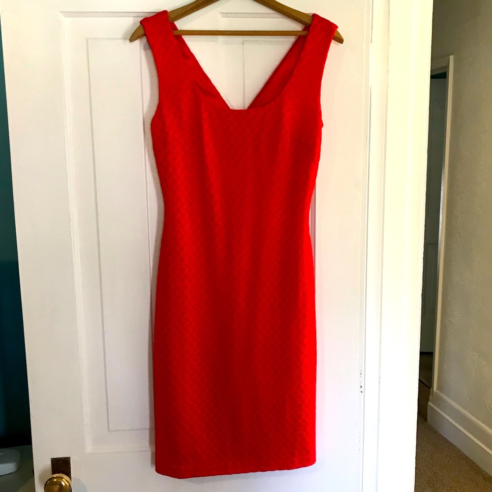 Molly Bracken trellis dress bodycon summer